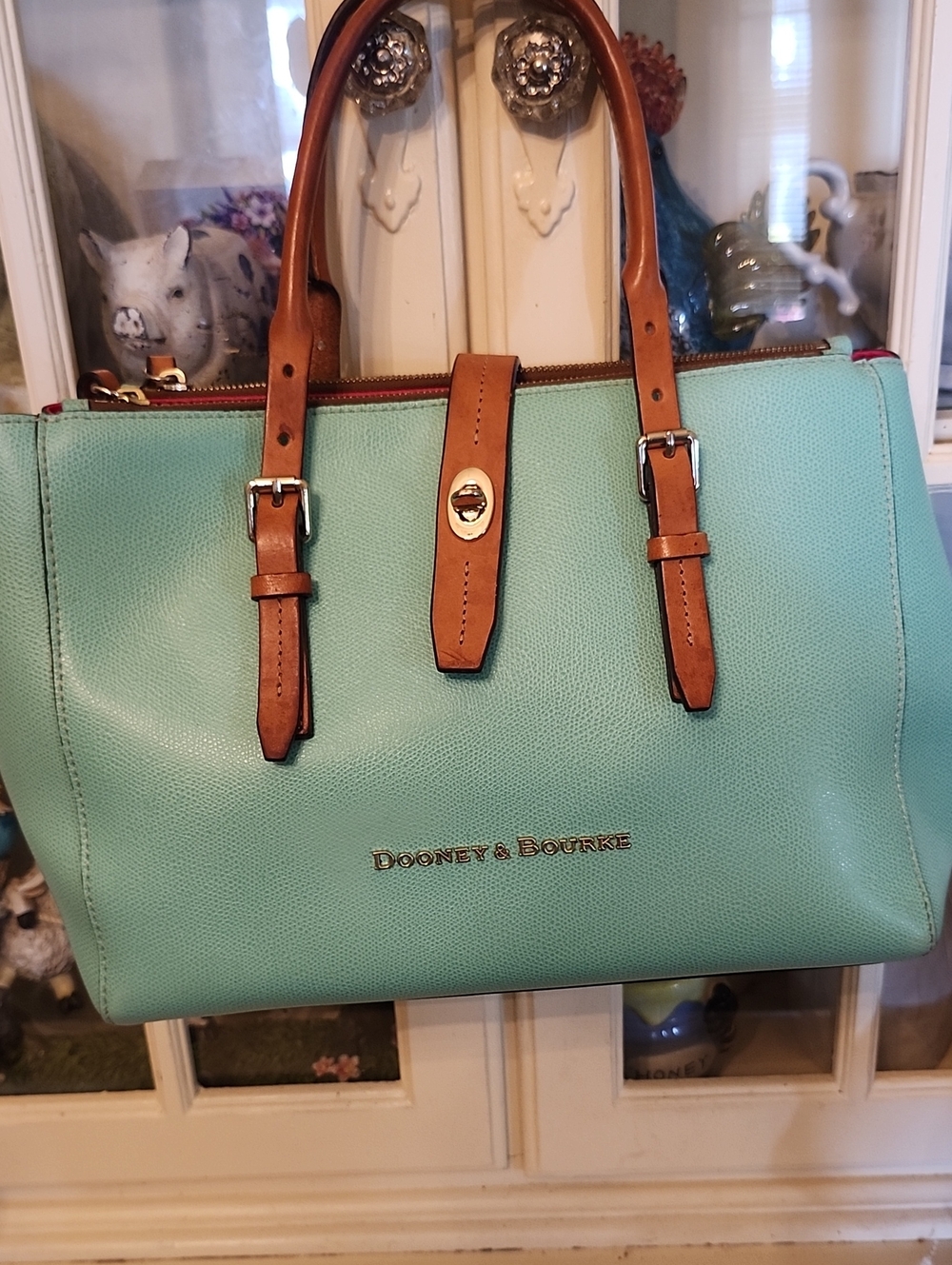 Dooney & Bourke Mint Green Pebble Leather Satchel with Brown Trim